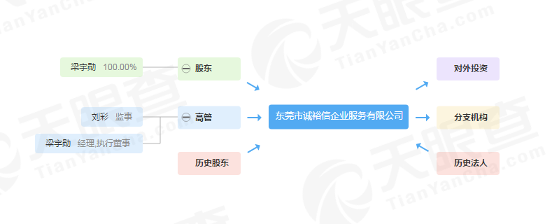 東莞誠宇鑫商標代理公司怎么樣？這幾個方面深入分析了